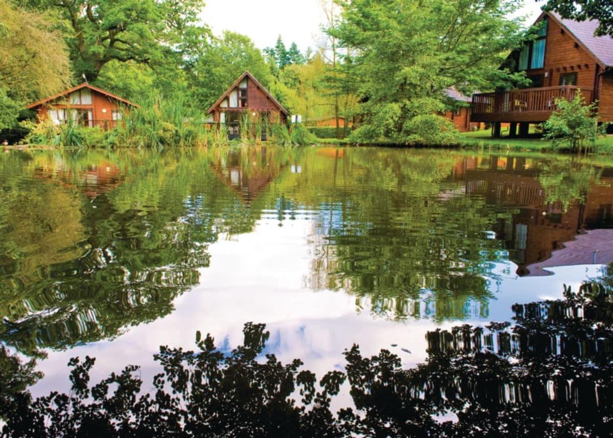 Whitemead Forest Park Hotel Parkend Kültér fotó