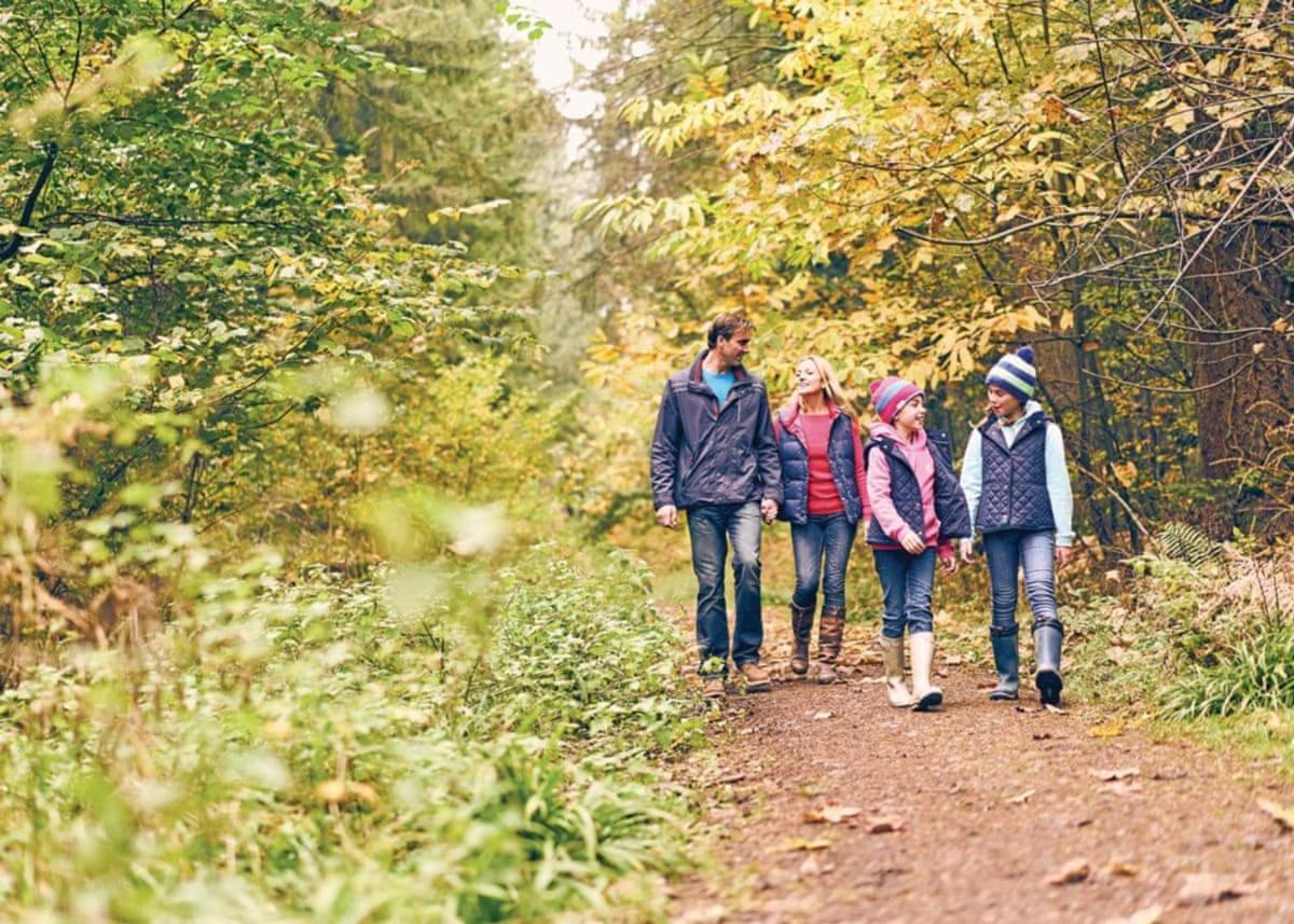 Whitemead Forest Park Hotel Parkend Kültér fotó