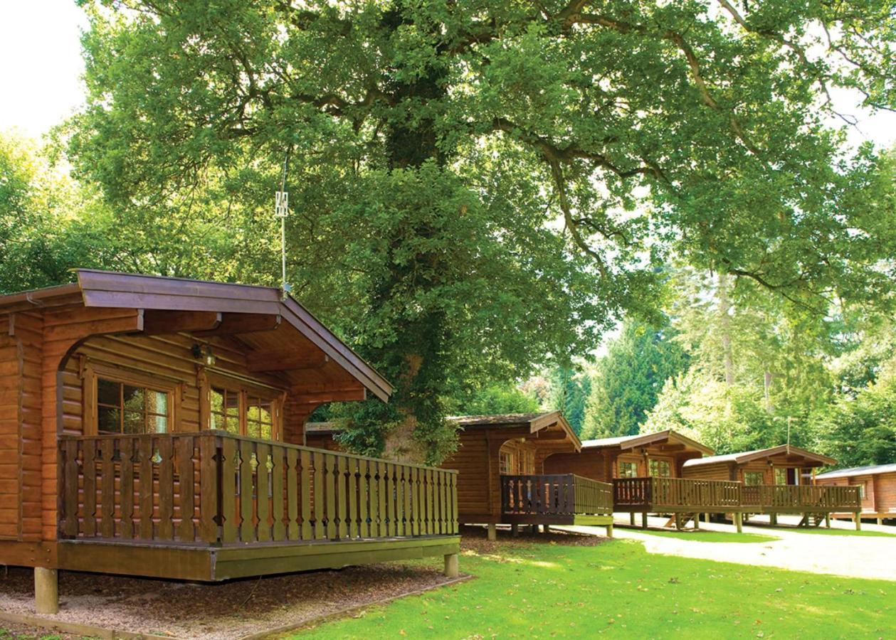 Whitemead Forest Park Hotel Parkend Kültér fotó